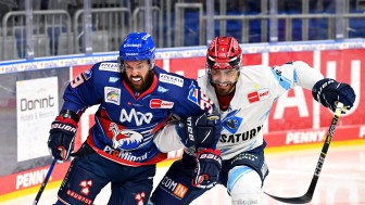 Die Panther um Morgan Ellis (li.) erkämpften sich in einem intensiven Spiel einen Zähler.
Foto: DEL-Fotosharing/Sörli Binder Die Panther um Morgan Ellis (li.) erkämpften sich in einem intensiven Spiel einen Zähler.
Foto: DEL-Fotosharing/Sörli Binder