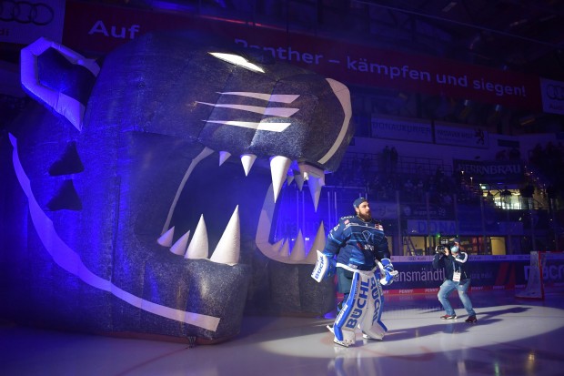Torwart Kevin Reich (Nr.35 - ERC Ingolstadt) startet durch den Panther-Kopf auf das Eis