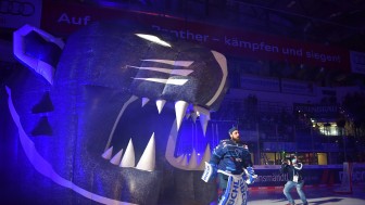 Torwart Kevin Reich (Nr.35 - ERC Ingolstadt) startet durch den Panther-Kopf auf das Eis