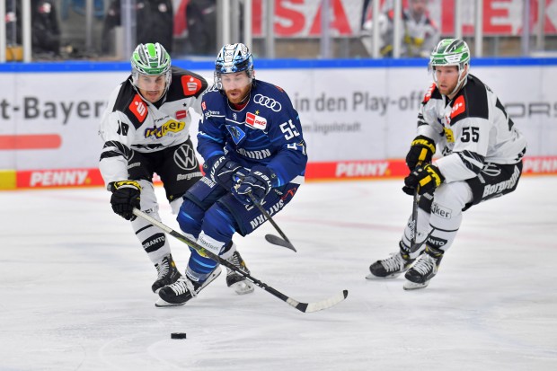 Im letzten Spiel vor der Pause treffen David Warsofsky und die Panther zuhasue auf Krefeld.
Foto: Johannes Traub/JT-Presse.de