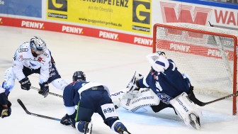Die Panther wollen bei den Straubing Tigers etwas Zählbares mitnehmen.
Foto: Stefan Ritzinger Die Panther wollen bei den Straubing Tigers etwas Zählbares mitnehmen.
Foto: Stefan Ritzinger