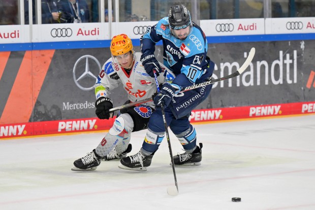 Die Panther um Mirko Höfflin erwartet ein intensives Match gegen die Fischtown Pinguins.
Foto: Johannes Traub/JT-Presse.de