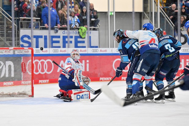 Ab Freitag duellieren sich Panther und Adler im Playoff-Halbfinale.
Foto: Johannes Traub/JT-Presse.de