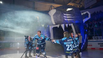 Endlich geht es los. Heute starten die Panther in die Playoffs!
Foto: Johannes Traub/JT-Presse.de Endlich geht es los. Heute starten die Panther in die Playoffs!
Foto: Johannes Traub/JT-Presse.de