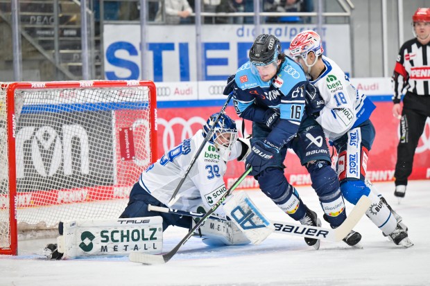 Die Panther um Tye McGinn setzten sich zuhause mit 5:1 durch.
Foto: Johannes Traub/JT-Presse.de