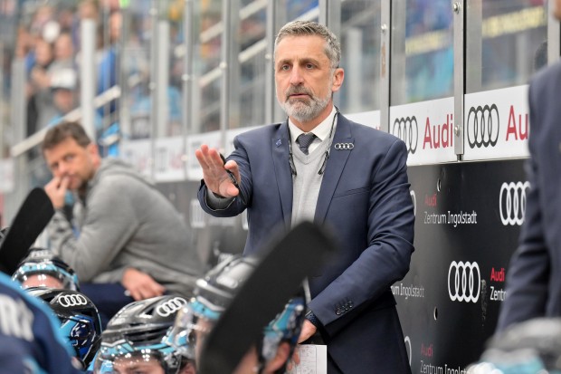 Die Panther von Headcoach Mark French bestreiten heute Abend das drittletzte Heimspiel der Hauptrunde.
Foto: Johannes Traub/JT-Presse.de