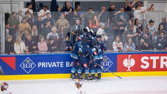 Die Panther wollen heute auch in Pardubice jubeln.
Foto: GEPA Die Panther wollen heute auch in Pardubice jubeln.
Foto: GEPA