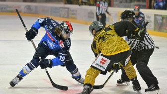 Um 20 Uhr fällt heute der Puck im CHL-Auftaktspiel der Panther.
Foto: Johannes Traub/JT-Presse.de Um 20 Uhr fällt heute der Puck im CHL-Auftaktspiel der Panther.
Foto: Johannes Traub/JT-Presse.de