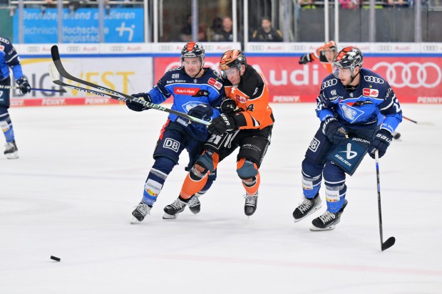 Gegen die Grizzlys müssen die Panther voll dagegenhalten.
Foto: Johannes Traub/JT-Presse.de