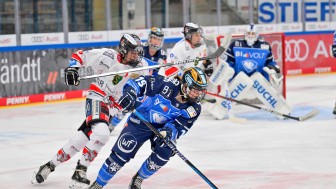 Die Pantherinnen und Memmingen werden sich ein intensives & spannendes Match liefern.
Foto: Johannes Traub/JT-Presse.de