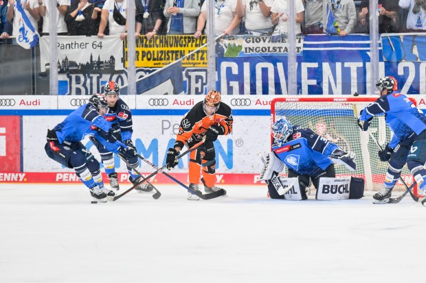 Zu selten konnten sich die Panther heute gegen die Grizzlys durchsetzen.
Foto: Johannes Traub/JT-Presse.de