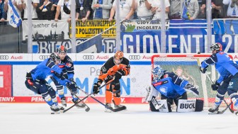 Zu selten konnten sich die Panther heute gegen die Grizzlys durchsetzen.
Foto: Johannes Traub/JT-Presse.de Zu selten konnten sich die Panther heute gegen die Grizzlys durchsetzen.
Foto: Johannes Traub/JT-Presse.de