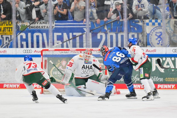 Die Panther fanden zu selten einen Weg durch die Augsburger Abwehr.
Foto: Johannes Traub/JT-Presse.de