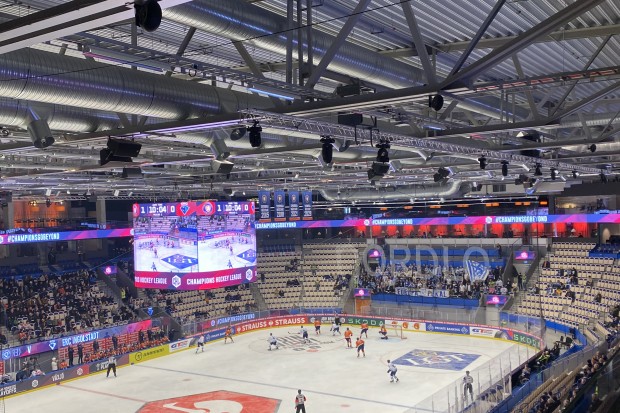 Die Panther-Fans gaben in der Vida-Arena den Ton an.