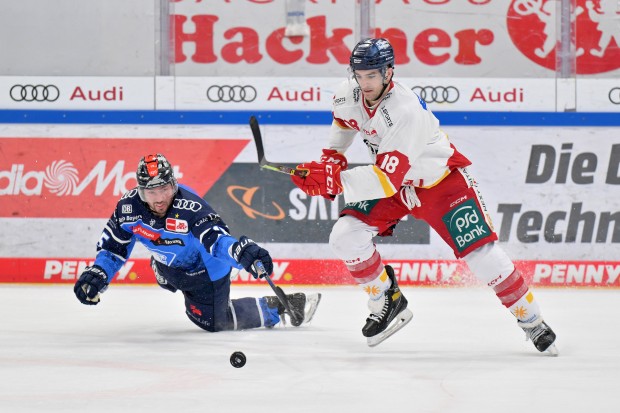 Kenny Agostino stürmt in der neuen Saison für die Panther.
Foto: Johannes Traub/JT-Presse.de