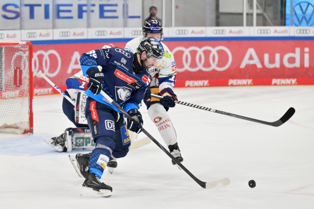 Panther uns Eisbären treffen zum Topspiel aufeinander.
Foto: Johannes Traub/JT-Presse.de