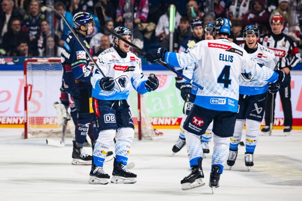 Unter anderem die Jerseys von Alex Breton und Morgan Ellis sind aktuell zu haben.
Foto: City-Press