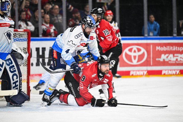 Können die Panther Köln erneut in Schach halten?
Foto: DEL-Photosharing