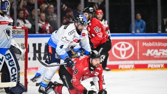 Können die Panther Köln erneut in Schach halten?
Foto: DEL-Photosharing Können die Panther Köln erneut in Schach halten?
Foto: DEL-Photosharing
