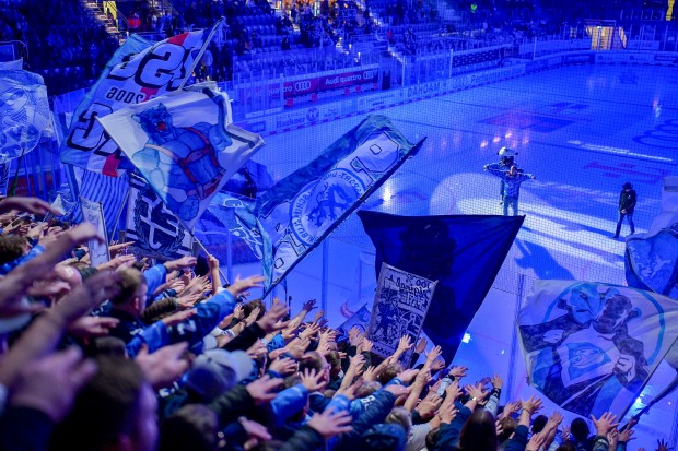 Die Panther live im EUROPAPOKAL erleben!
Foto: Johannes Traub/JT-Presse.de