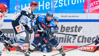 Die Panther setzten sich zuhause gegen Schwenningen durch.
Foto: Johannes Traub/JT-Presse.de Die Panther setzten sich zuhause gegen Schwenningen durch.
Foto: Johannes Traub/JT-Presse.de