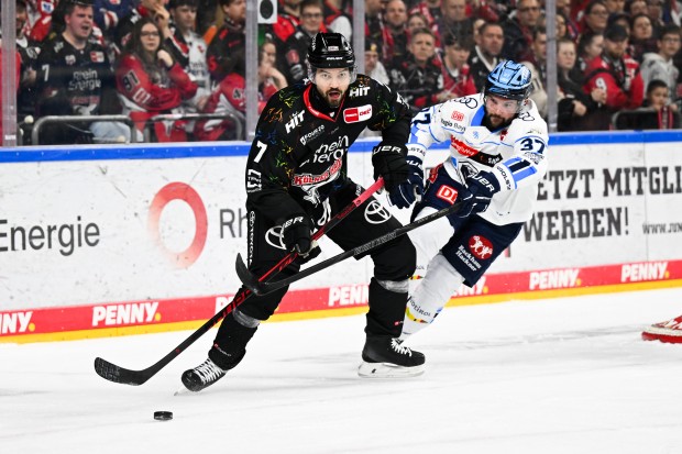 Die Panther hatten in Köln das Nachsehen.
Foto: DEL-Photosharing