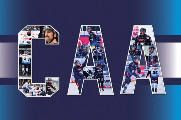 Das Captains-Team der Panther für die neue Saison.