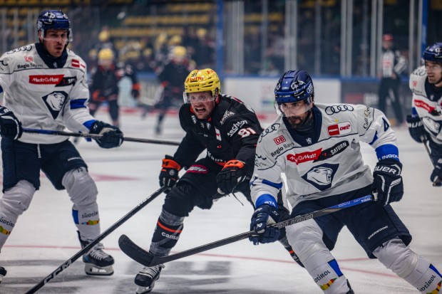 Die Panther unterlagen im letzten Testspiel der Vorbereitung.
Foto: Löwen Frankfurt