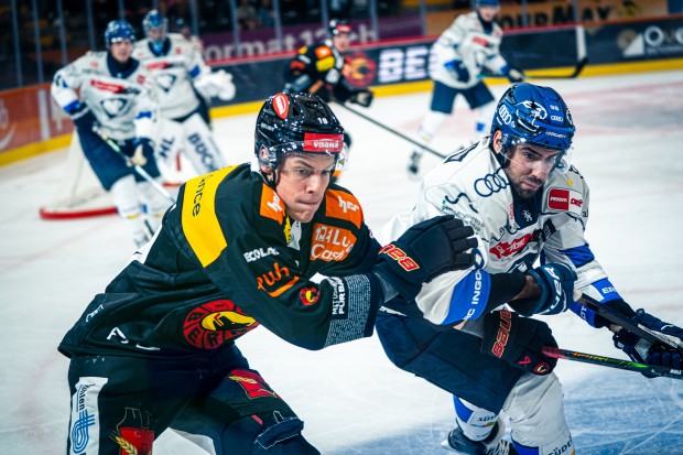Die Panther waren beim SC Bern zu Gast.
Foto: SCB/Matteo Studer