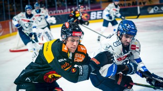 Die Panther waren beim SC Bern zu Gast.
Foto: SCB/Matteo Studer Die Panther waren beim SC Bern zu Gast.
Foto: SCB/Matteo Studer