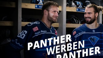 Neue Dauerkartenbesitzer vomn der Bestellung eines Saisontickets überzeugen und von Panther werben Panther profitieren. Neue Dauerkartenbesitzer vomn der Bestellung eines Saisontickets überzeugen und von Panther werben Panther profitieren.