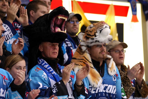 Pantherfan, der absolute Hit