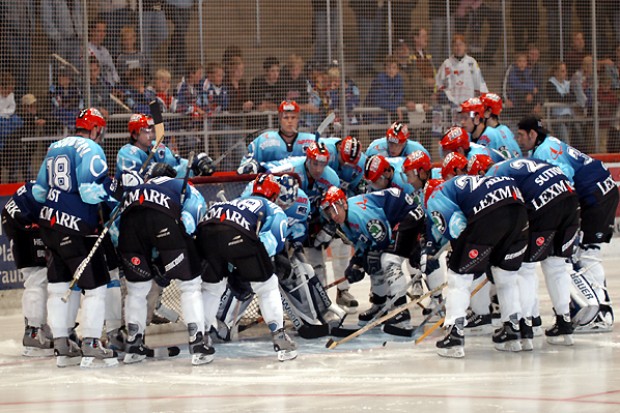 Pantherteam