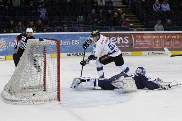 Hamburg Freezers - ERC Ingolstadt