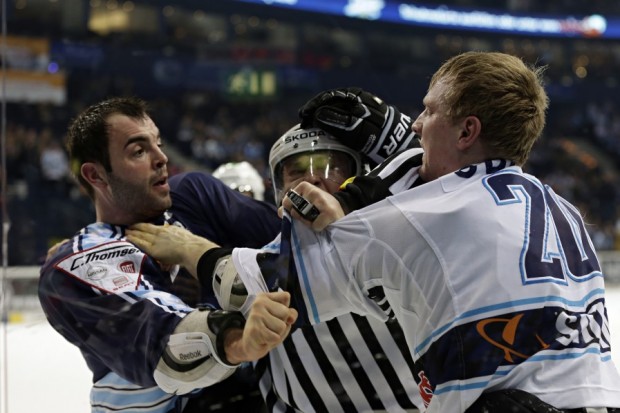 Hamburg Freezers - ERC Ingolstadt